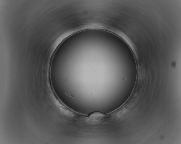 X0000093390861200710111514