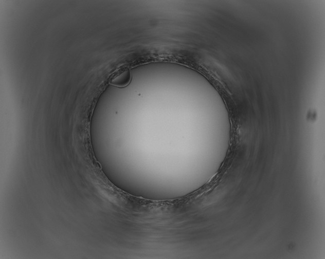 X0000093390865200710111513