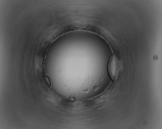 X0000093390867200710111513