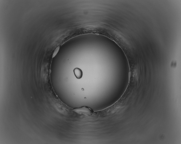 X0000093390868200710111513