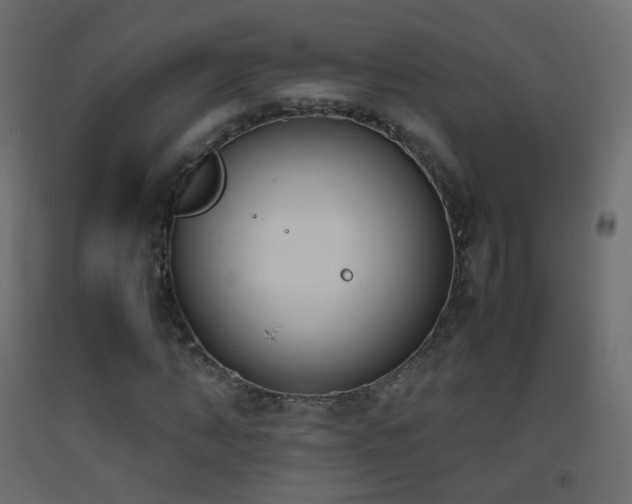 X0000093390870200710111513