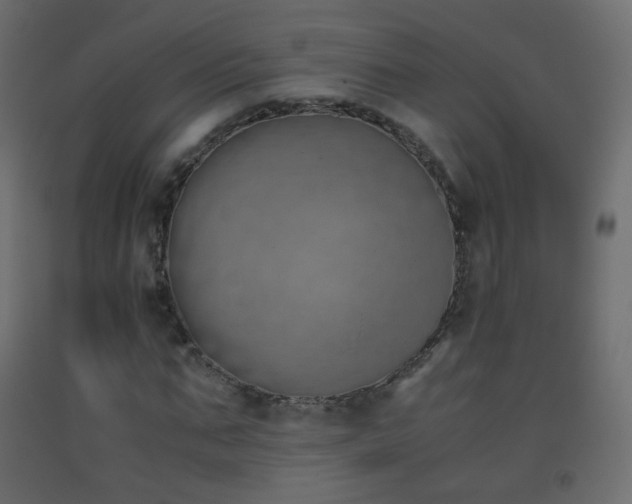 X0000093390871200710111513