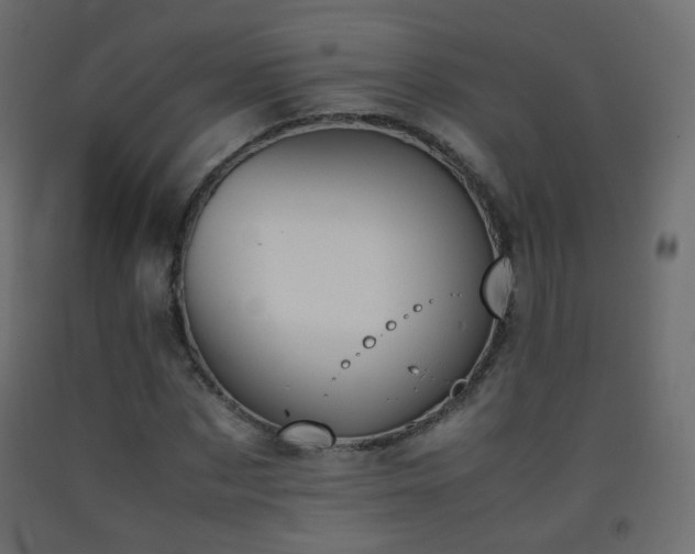 X0000093390873200710111513