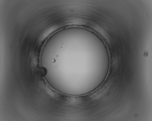 X0000093390874200710111513