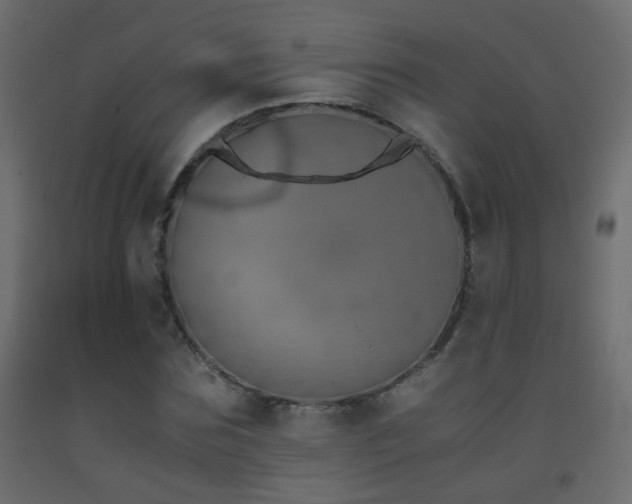 X0000093390875200710111513