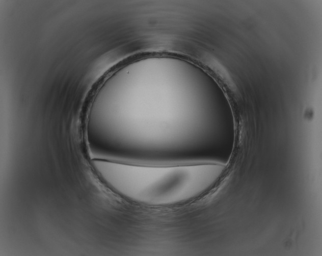 X0000093390876200710111513