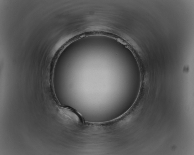 X0000093390877200710111513