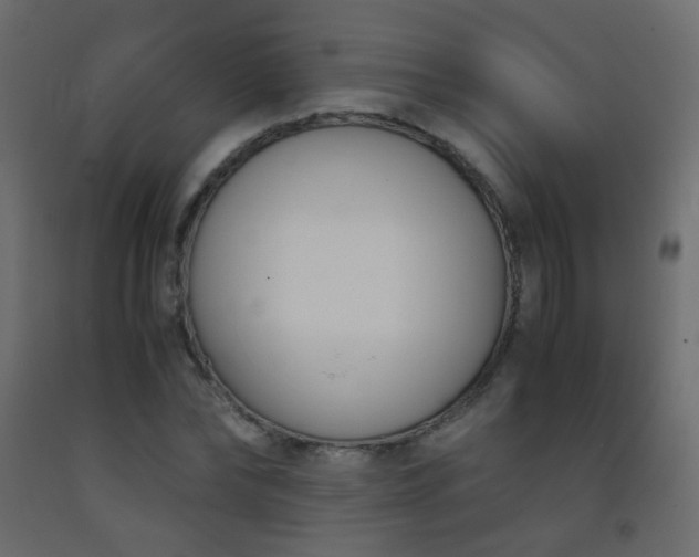 X0000093390878200710111513