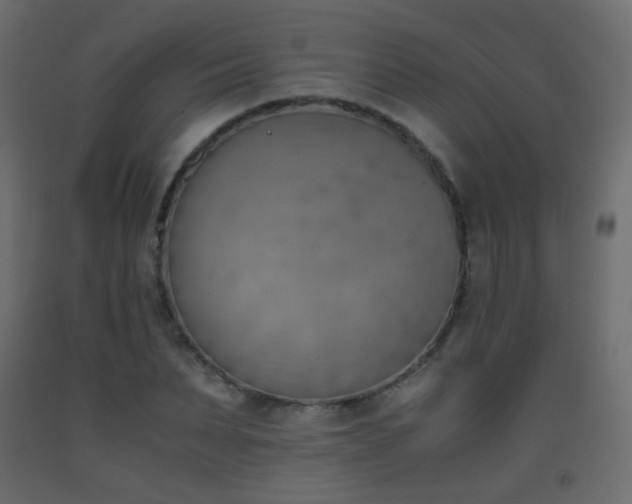 X0000093390879200710111513