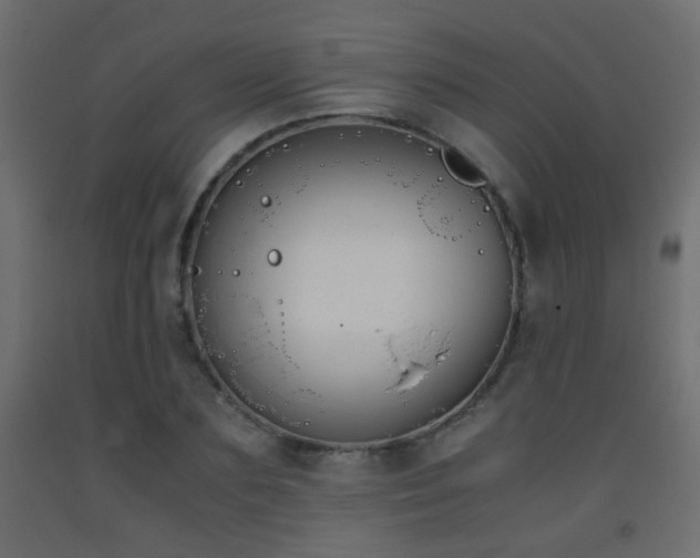 X0000093390883200710111513