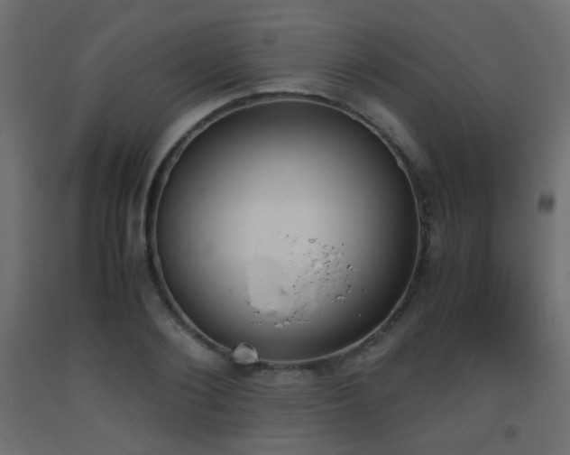 X0000093390884200710111513