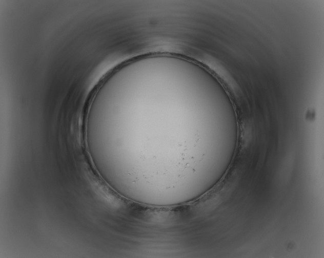 X0000093390886200710111513