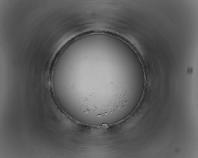 X0000093390887200710111513