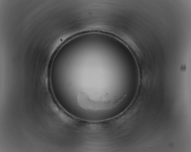 X0000093390888200710111513