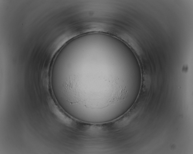 X0000093390890200710111513