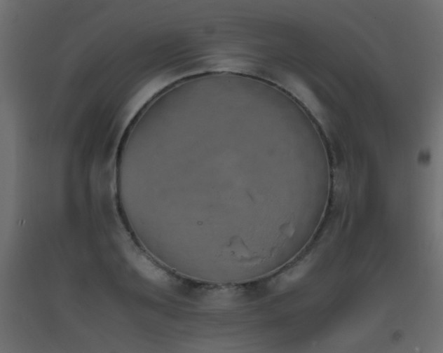 X0000093390891200710111513