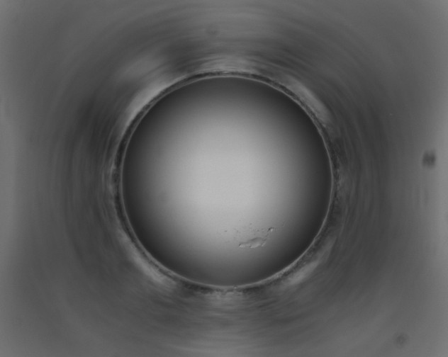 X0000093390893200710111513