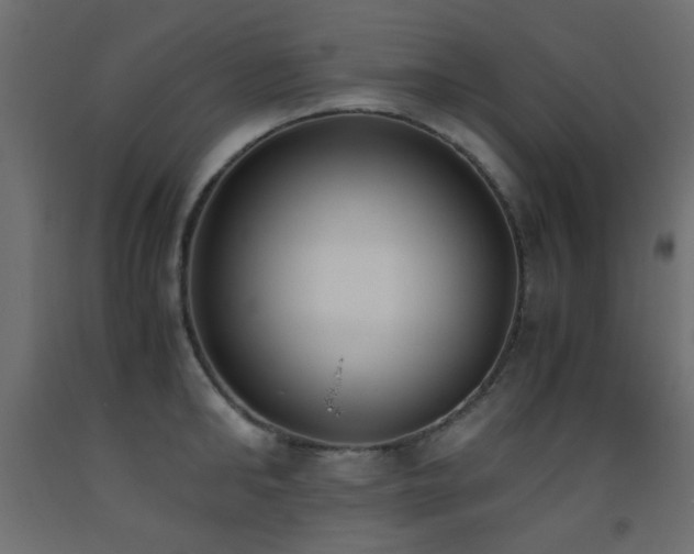 X0000093390902200710111513