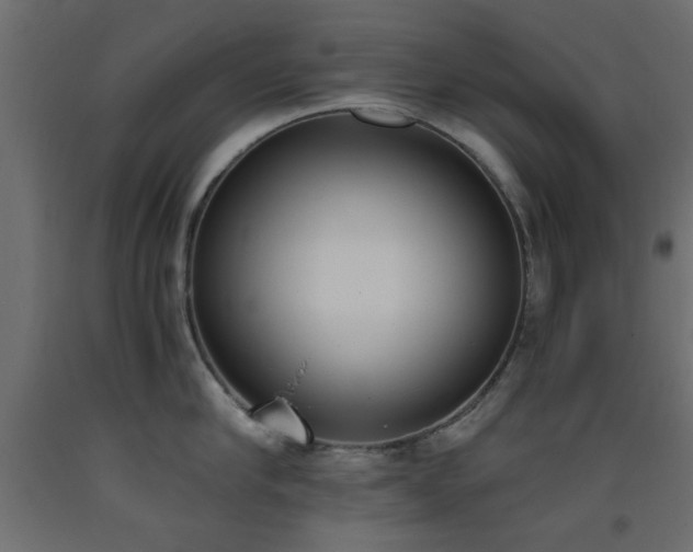 X0000093390910200710111513