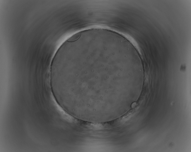 X0000093390911200710111513