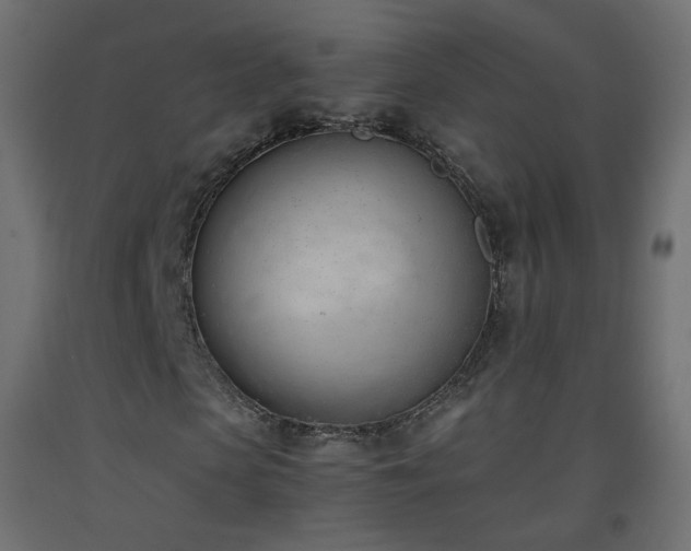 X0000093390913200710111512