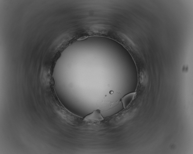 X0000093390915200710111512