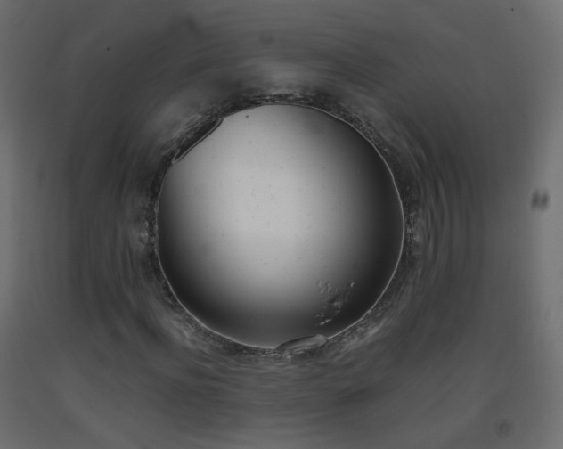 X0000093390916200710111512