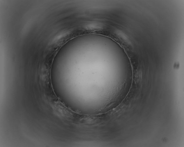 X0000093390917200710111512