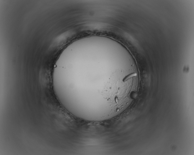 X0000093390918200710111512