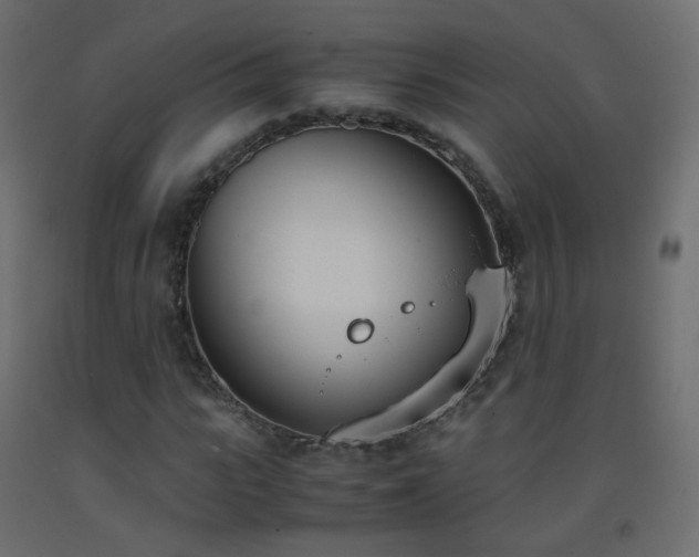 X0000093390919200710111512