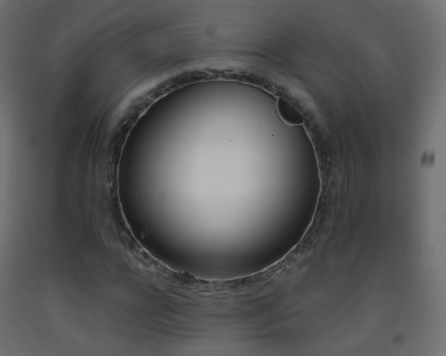 X0000093390920200710111512