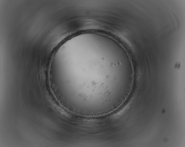 X0000093390921200710111512