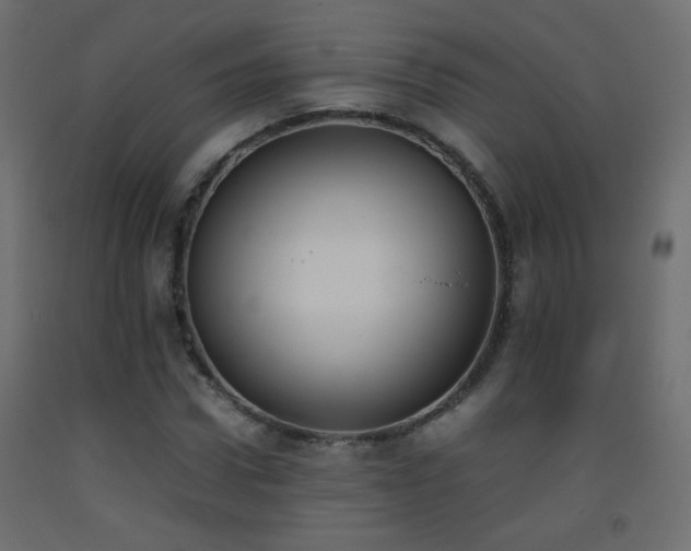 X0000093390922200710111512