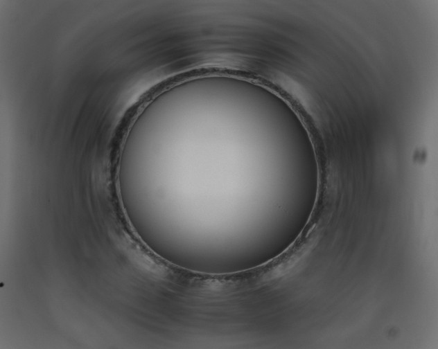 X0000093390923200710111512