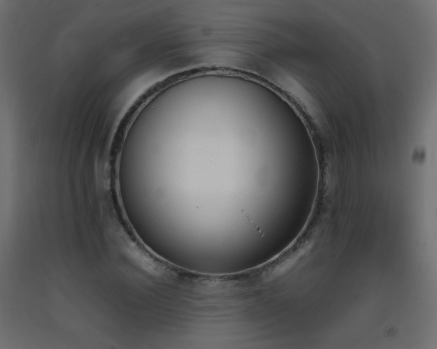 X0000093390924200710111512