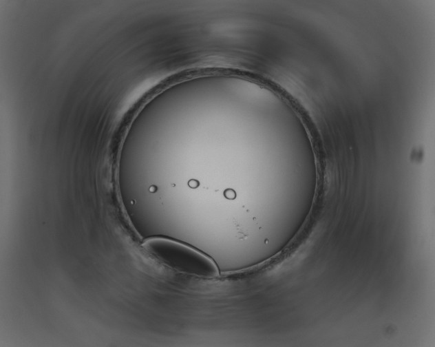 X0000093390925200710111512