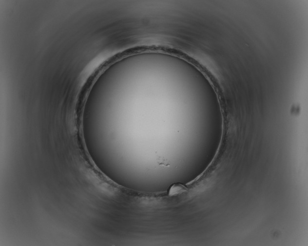 X0000093390927200710111512