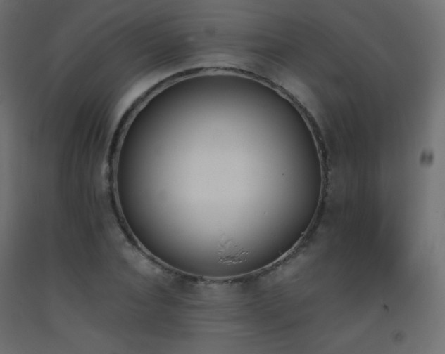 X0000093390928200710111512