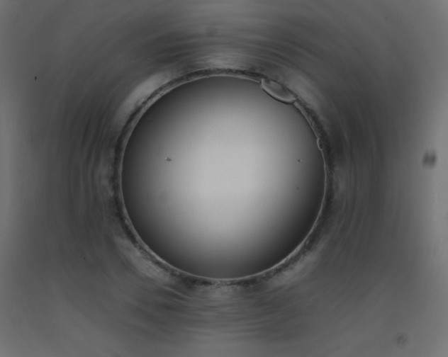 X0000093390930200710111512