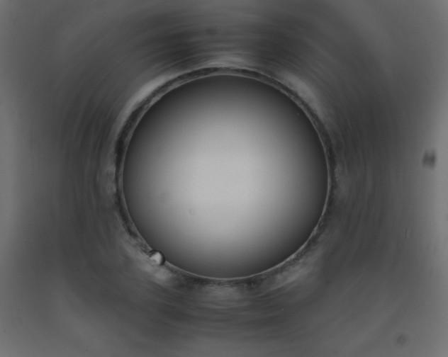 X0000093390931200710111512