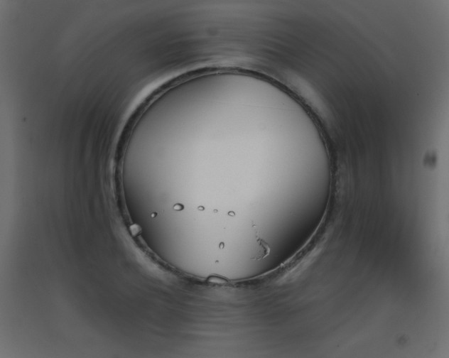 X0000093390932200710111512