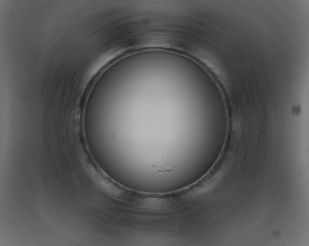 X0000093390933200710111512