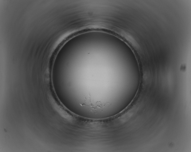 X0000093390934200710111512