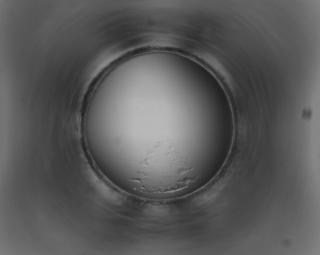 X0000093390935200710111512