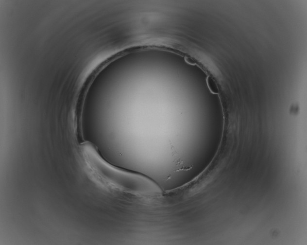 X0000093390936200710111512