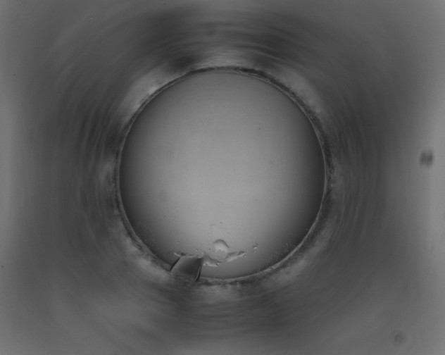 X0000093390937200710111512