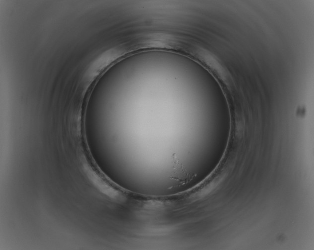 X0000093390938200710111512