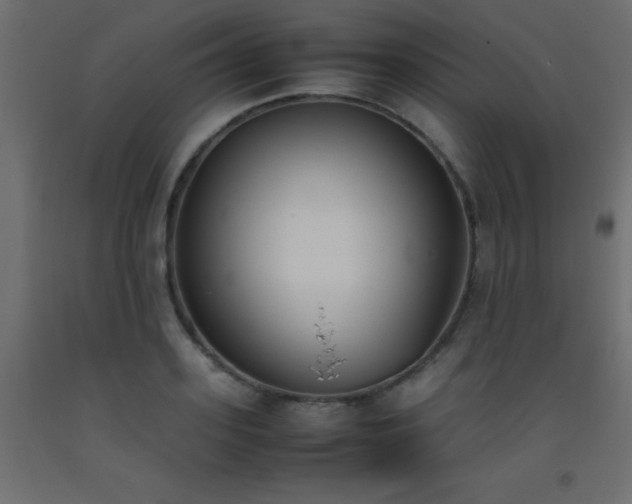 X0000093390939200710111512