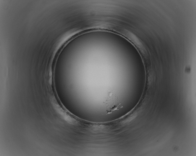 X0000093390940200710111512