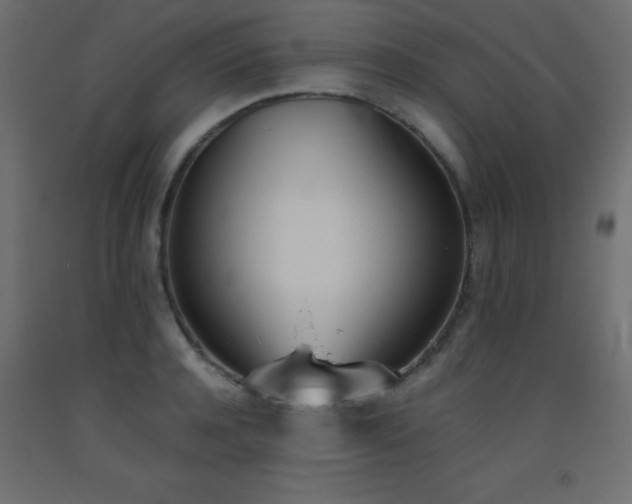 X0000093390944200710111512